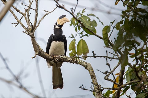 प्रतीकात्मक तस्वीर: आईस्टॉक