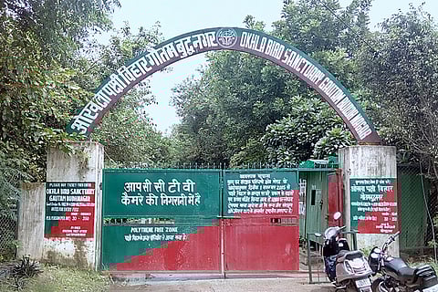 ओखला पक्षी विहार; फोटो: विकिमीडिया कॉमन्स