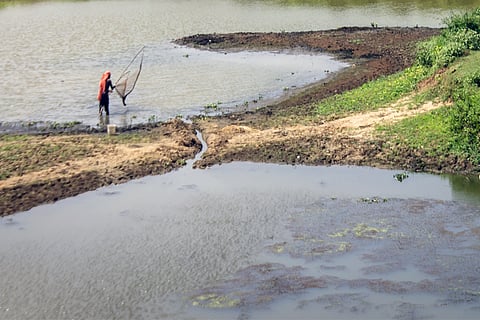 प्रतीकात्मक तस्वीर: आईस्टॉक