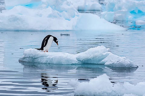 बर्फ और महासागर के बीच की क्रियाओं को समझना भविष्य में समुद्र स्तर बढ़ने की भविष्यवाणी और जलवायु मॉडल के लिए महत्वपूर्ण है।