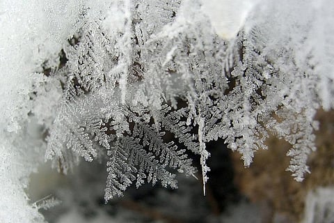 ज्यादातर पहाड़ी राज्यों में मौसम शुष्क बना हुआ है इसलिए यहां ऊंचाई वाले क्षेत्रों में पाला पड़ने की आशंका जताई गई है।