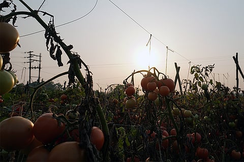 प्रतीकात्मक तस्वीर: आईस्टॉक