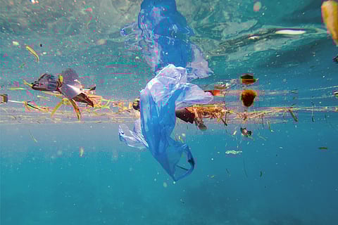 फोटो: आईस्टॉक