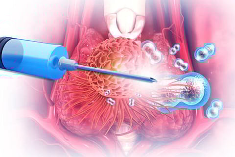 माइट्राफिलीन की पहचान: यूबीसी ओकानागन के वैज्ञानिकों ने पता लगाया कि पौधे दुर्लभ और शक्तिशाली माइट्राफिलीन यौगिक कैसे बनाते हैं।