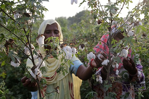 फोटो: विकास चौधरी