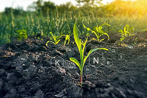 नाइट्रोजन चक्र असंतुलित होने से फसल उत्पादन घटता है, जल प्रदूषण बढ़ता है और पर्यावरण स्वास्थ्य प्रभावित होता है।