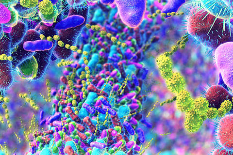 इंटेलेक्टिन-2 का संतुलन बिगड़ने से आंतों की बीमारियां हो सकती हैं, इसलिए सही स्तर बनाए रखना बहुत जरूरी है।