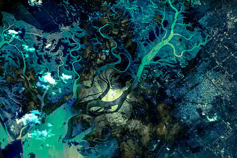 मेकांग, गंगा-ब्रह्मपुत्र, नील, मिसिसिपी, येलो और चाओ फ्राया डेल्टा सबसे ज्यादा प्रभावित और तत्काल समाधान की आवश्यकता वाले क्षेत्र हैं।