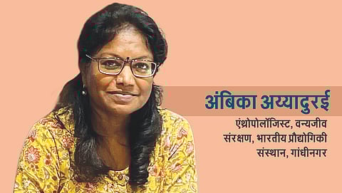 अंबिका अय्यादुरई - एंथ्रोपोलॉजिस्ट, वन्यजीव संरक्षण, भारतीय प्रौद्योगिकी संस्थान, गांधीनगर