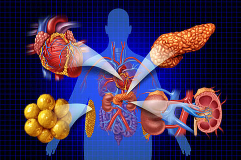 नया वैश्विक अध्ययन बताता है कि टाइप-टू डायबिटीज के कई मुख्य जैविक कारण खून के बाहर शरीर के अंगों में होते हैं।