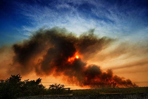 देश में 23,981 उद्योग पर्यावरण मानकों का उल्लंघन करते पाए गए, जिनके विरुद्ध विभिन्न कानूनी और प्रशासनिक कार्रवाई की गई।