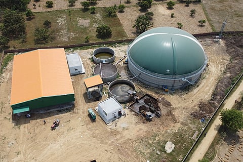 बायोगैस परियोजनाओं से ग्रामीण क्षेत्रों में रोजगार के अवसर बढ़ेंगे और किसानों को अतिरिक्त आय प्राप्त होगी। 