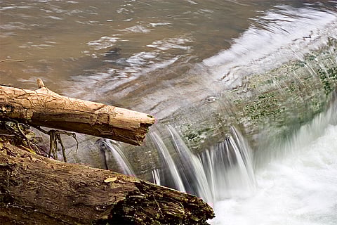 प्रतीकात्मक तस्वीर: आईस्टॉक