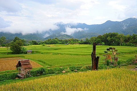 2001 से 2022 के बीच विश्वभर में लगभग 12.1 करोड़ हेक्टेयर जंगल खेती और चरागाह विस्तार के कारण नष्ट हुए।