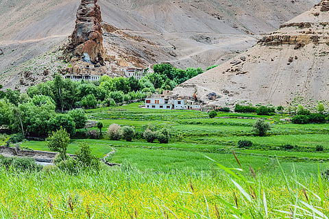 फोटो: आईस्टॉक