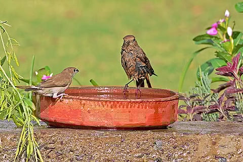 मार्च से मई 2026 के दौरान देश के अधिकतर इलाकों में अधिकतम तापमान के सामान्य से अधिक रहने के आसार।