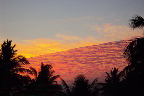 बढ़ते तापमान को देखते हुए किसानों को गेहूं, सरसों, चना और सब्जियों में हल्की सिंचाई और मिट्टी की नमी बनाए रखने की सलाह।