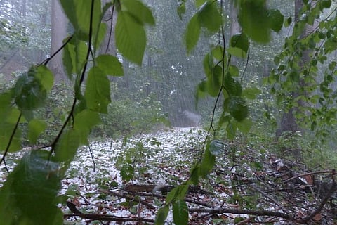 जम्मू-कश्मीर, हिमाचल और उत्तराखंड में 10 से 15 मार्च तक बारिश, बर्फबारी, तेज हवाएं व ओलावृष्टि का अंदेशा जताया गया है 