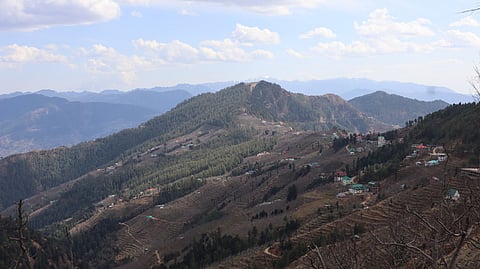 हिमाचल प्रदेश का ठियोग, जहां फरवरी-मार्च में बर्फ दिखाई देती थी, अब सूखा पड़ा है। फोटो: रोहित पराशर