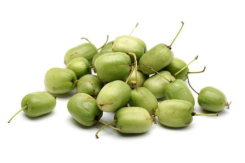 यह खोज पूर्वी हिमालय की जैव विविधता को उजागर करती है और जंगली कीवी से खेती में होने वाले फायदे को दिखाती है।