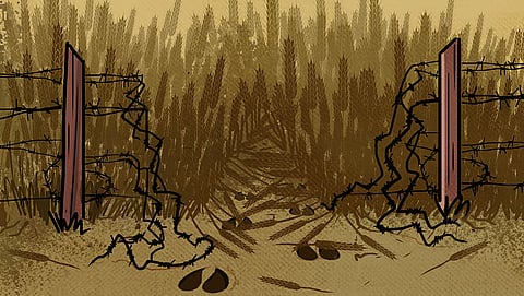 वन्यजीव संरक्षण बनाम किसानों की आजीविका, क्या है जरूरी?