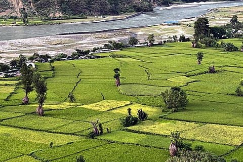 यह अध्ययन गंगा के उपजाऊ मैदानी इलाकों पर आधारित था, जहां हजारों वर्षों से कृषि गतिविधियां और मानव बसावट विकसित होती रही।