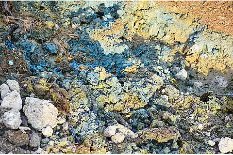 जांच किए गए 23 नमूनों में से 52 प्रतिशत में सीसा 5000 पीपीएम से अधिक मिला, जो अत्यधिक खतरनाक सीमा को दर्शाता है।