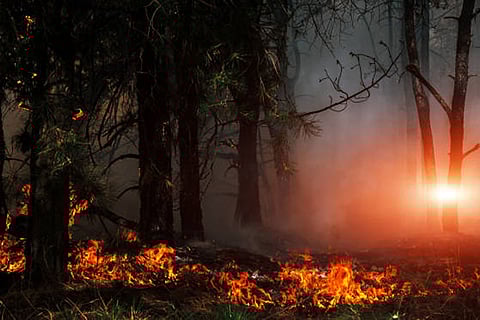 उच्च तापमान और बदलते मौसम जंगल और जमीन को अधिक जलनशील बना रहे हैं, जिससे आग का मौसम लंबा और तीव्र हो रहा है।