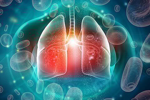 नैनोपार्टिकल्स फेफड़ों के गहरे हिस्सों तक पहुंचकर वहां छिपे टीबी बैक्टीरिया पर सीधे असर करते हैं और बेहतर परिणाम देते हैं।