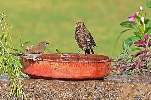 मध्य महाराष्ट्र, तेलंगाना, कर्नाटक और रायलसीमा में लू का खतरा, जबकि तटीय राज्यों में उमस भरा मौसम परेशान करेगा।