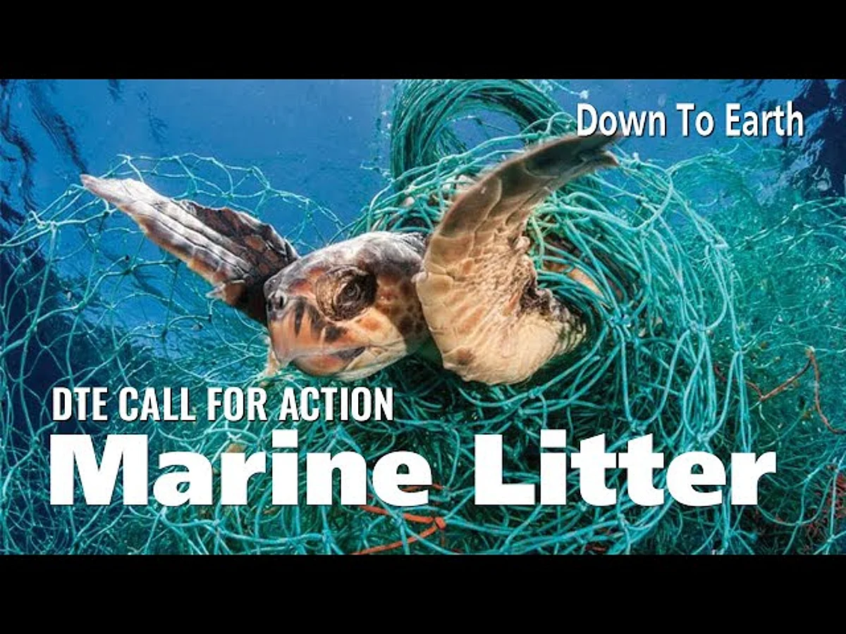 Dte Call For Action How To Combat The Threat Of Marine Litter Dte Call For Action How To Combat The Threat Of Marine Litter