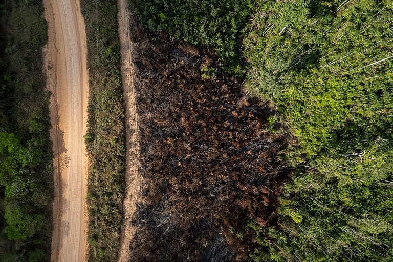 Recent Deforestation Global Deforestation Slows, But Climate Change Threatens Forests: FAO ...