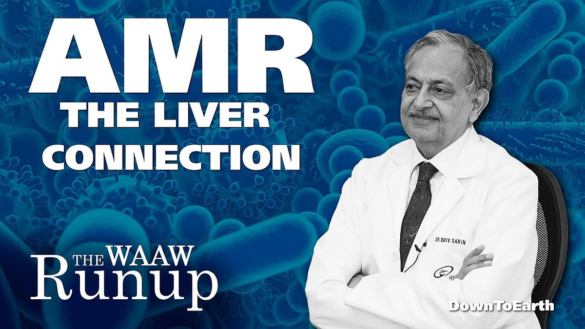 How Alcohol Consumption and Antimicrobial Resistance Impact Liver Health How Alcohol Consumption and Antimicrobial Resistance Impact Liver Health