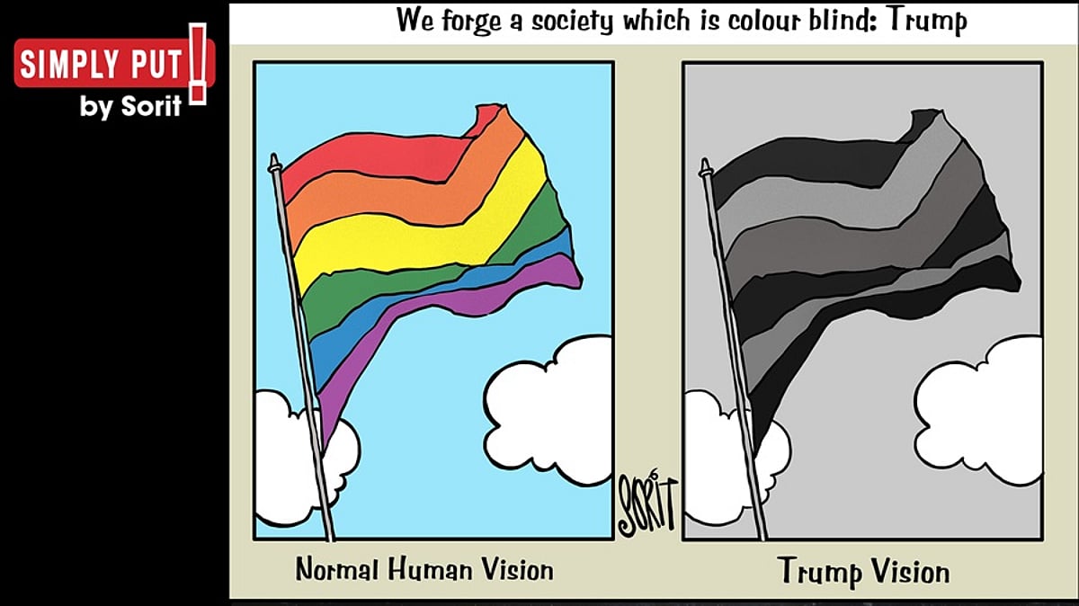 Understanding Colour Blindness: Causes, Symptoms, and Solutions