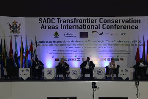 Africa’s climate adaption: From bread basket to food importer, Zimbabwe feels effects of climate change