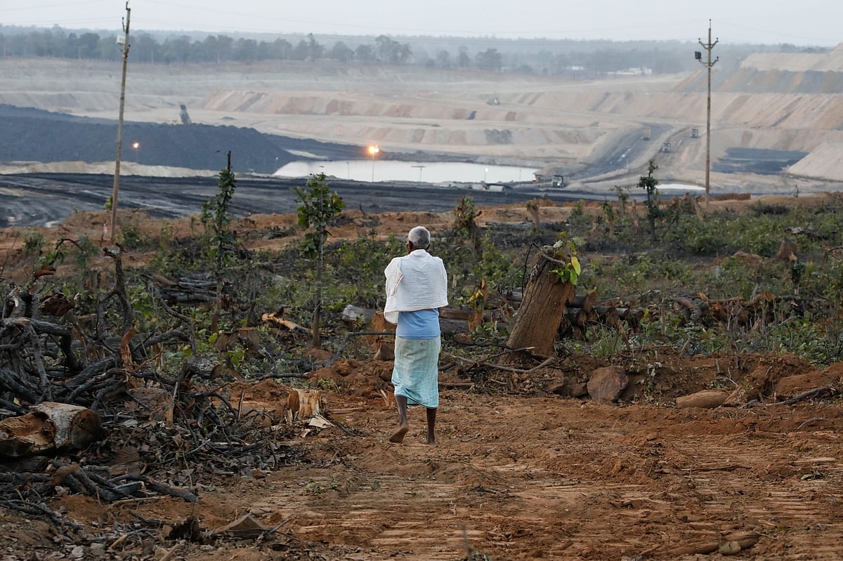 Hasdeo Forest Crisis: Tribes Battle Corporate Coal Interests in ...
