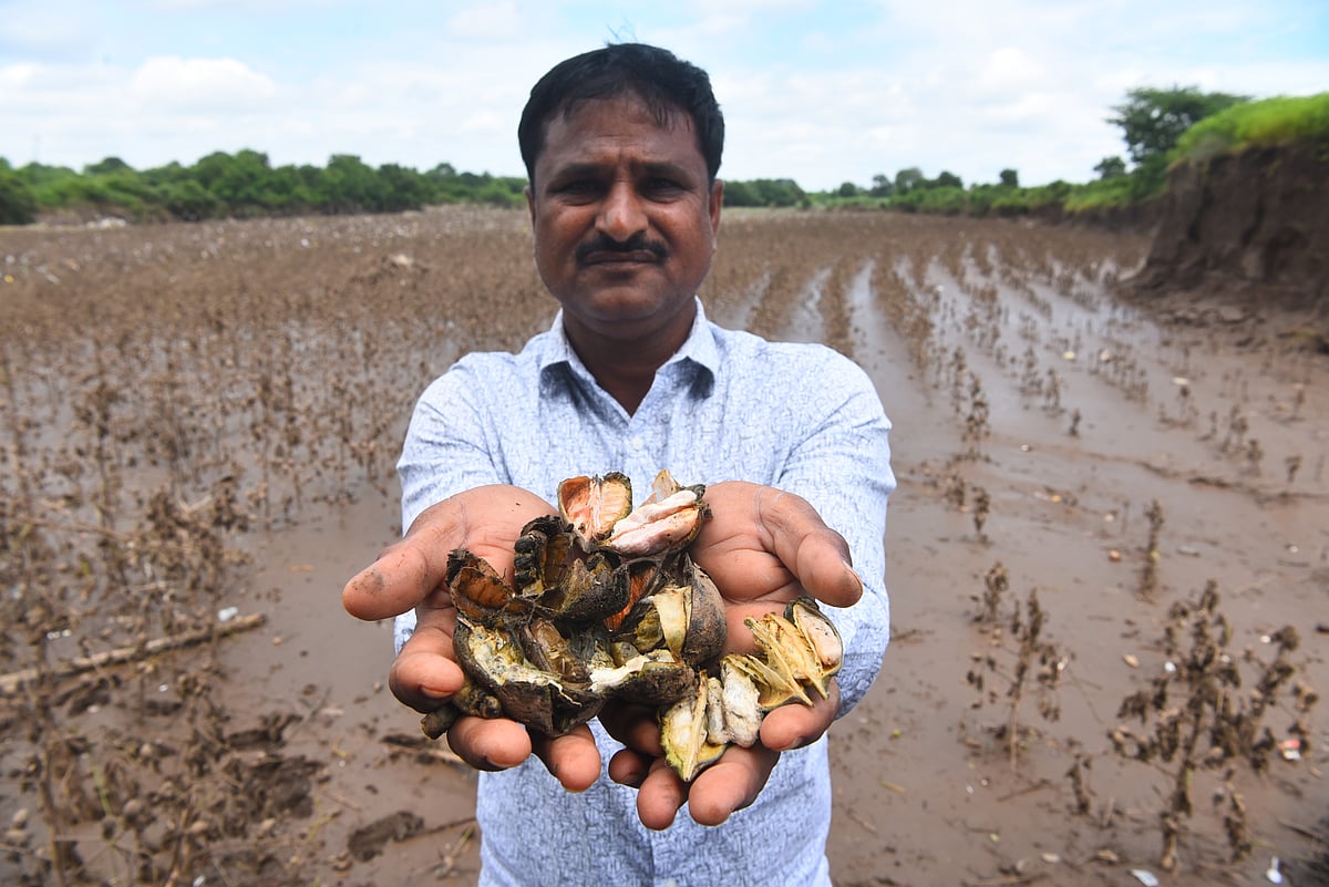 agriculture related news