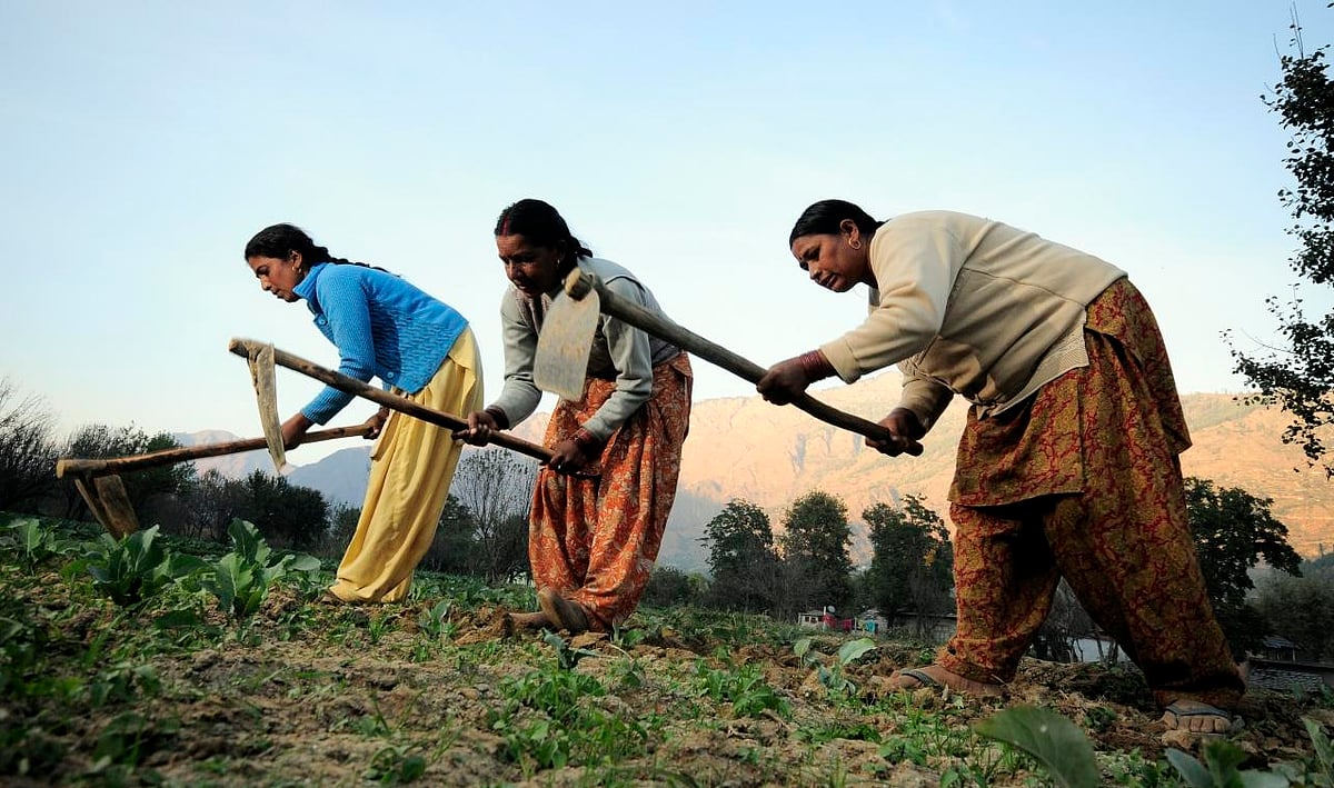 Odisha Introduces SOP to Improve Farm Machinery for Women Farmers