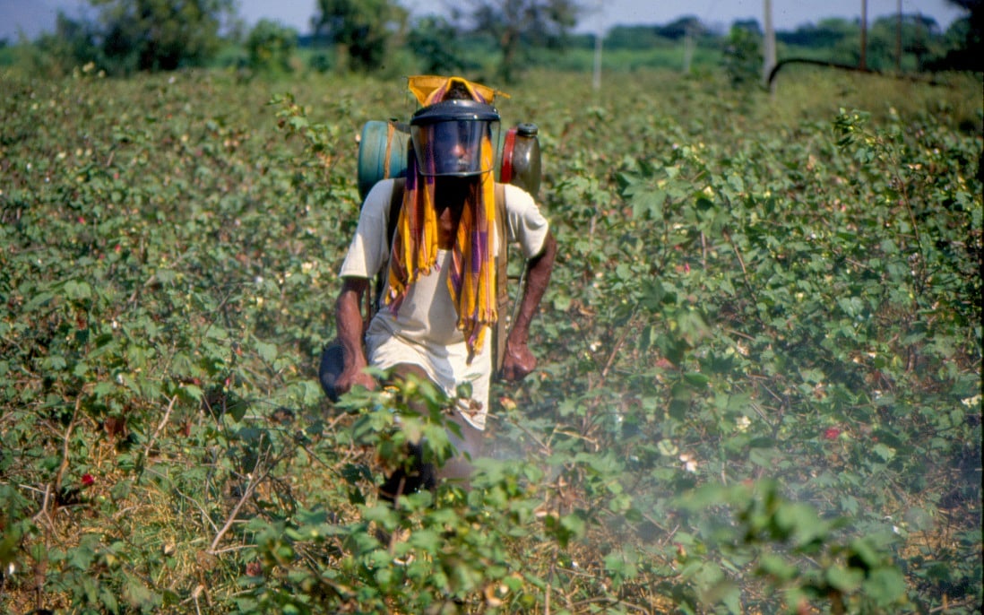 Pesticides in the wind: How cotton sprays are polluting India's rural skies