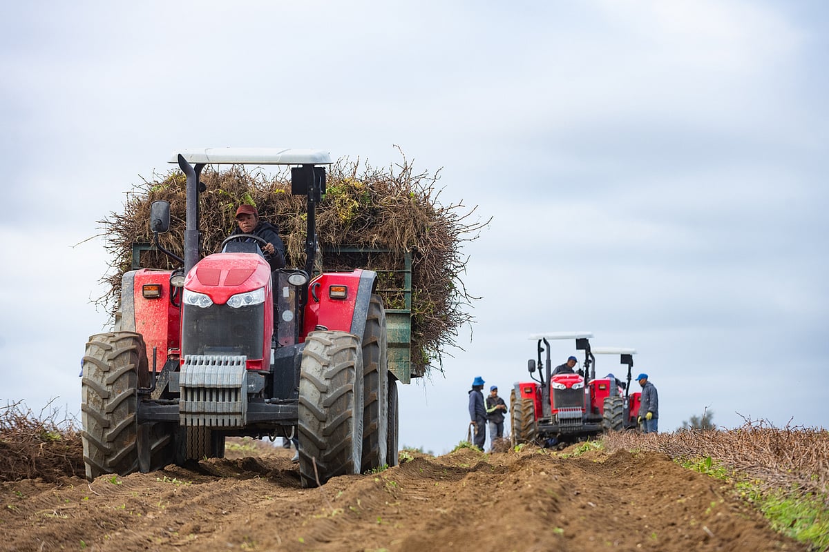 Africa's Agricultural Future: Embracing Mechanisation for Transformation