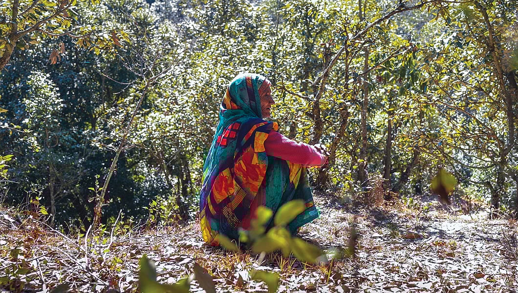 Highlights from the issue 11 A step back by Uttarakhand