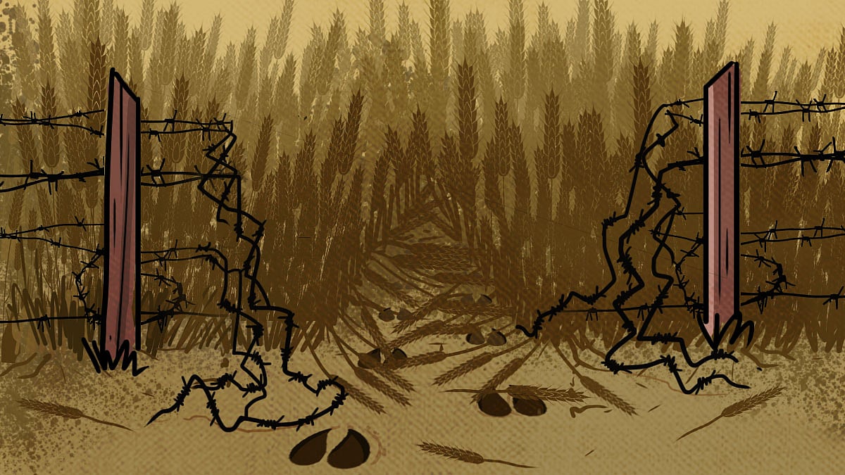 Highlights from the issue 12 Conflict in the backyard