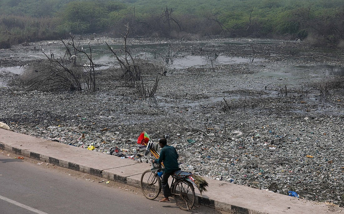 Death of a Delhi wetland 2 Death of a Delhi wetland