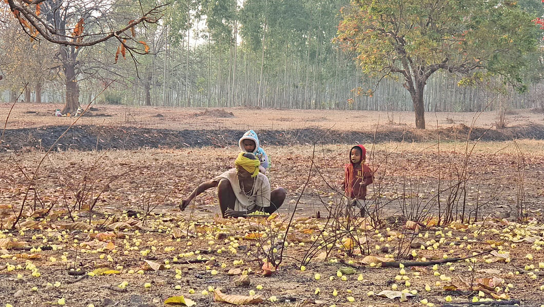 Highlights from the issue 9 In mahua territory