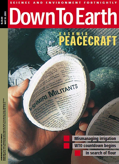 cover-image