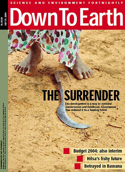 cover-image