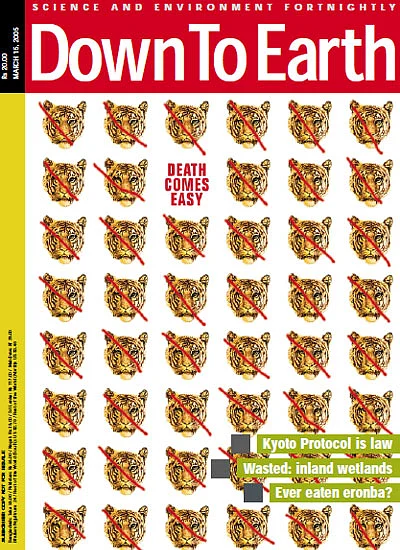 cover-image