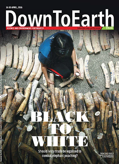 cover-image