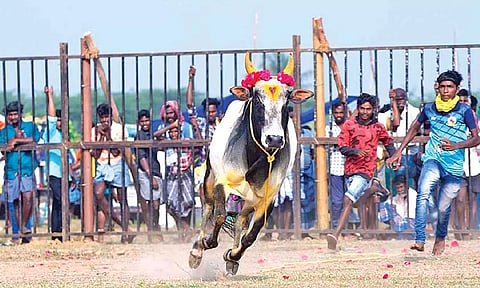 Action at Sooriyur (Justin George)
