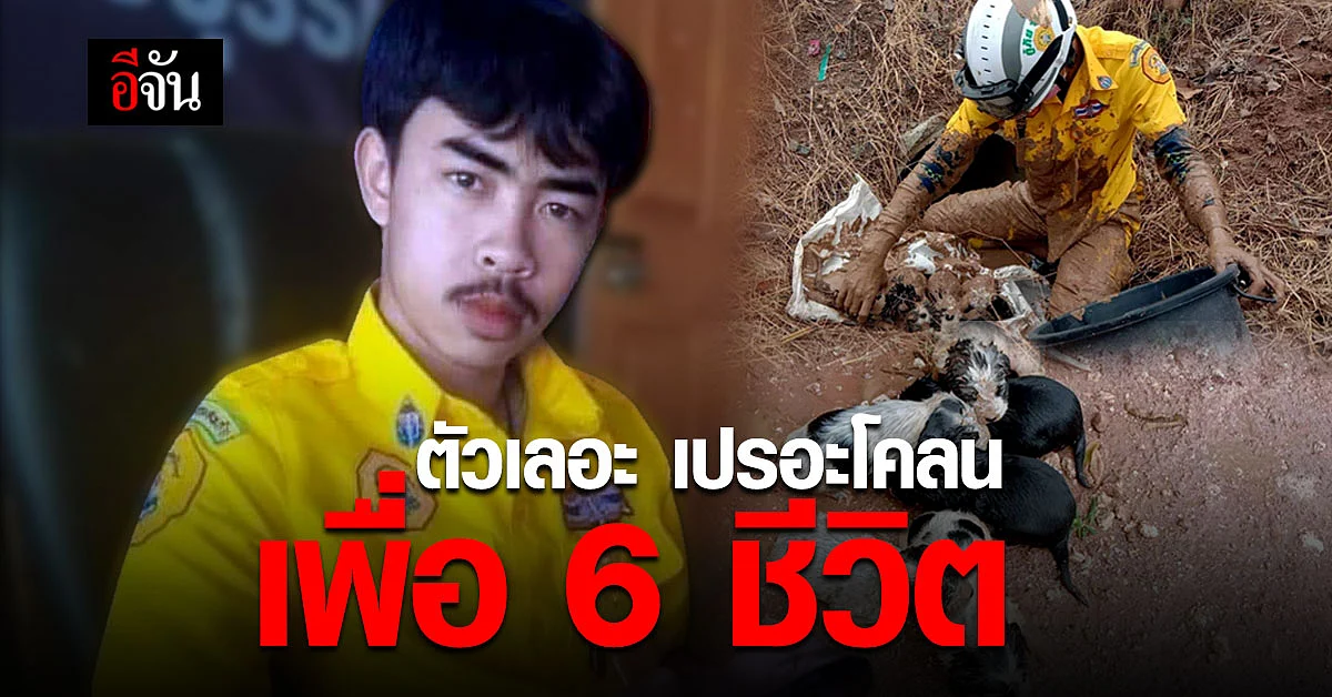 กราบน้ำใจ ฮีโร่ชุดเหลือง บุรีรัมย์ มุดท่อ ช่วยลูกหมาน้อย 6 ชีวิต